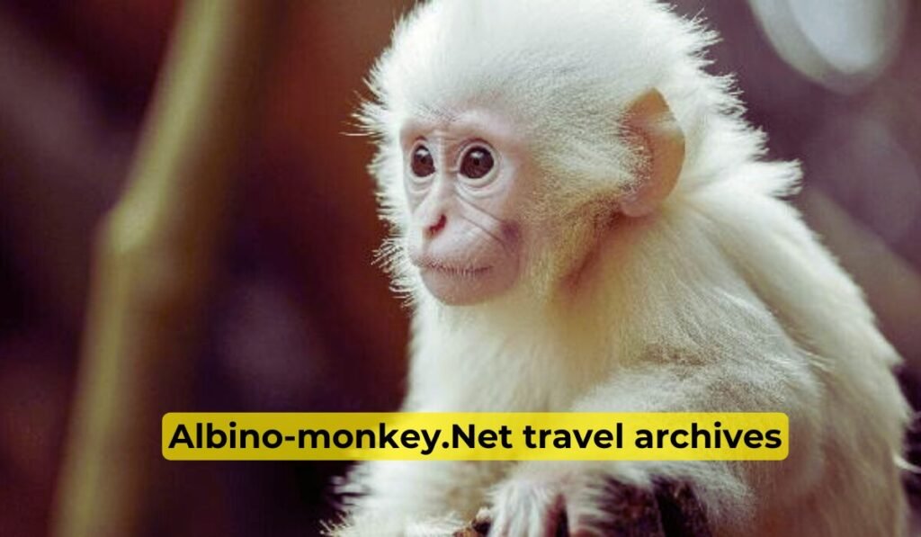 Albino-monkey.Net travel archives