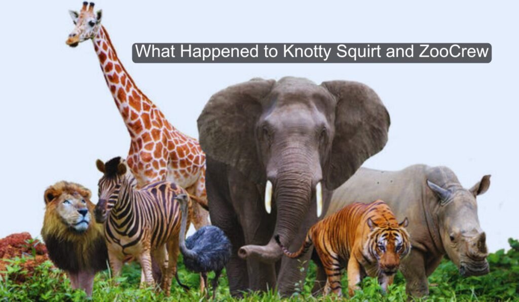 What happened to Knotty Squirt and ZooCrew