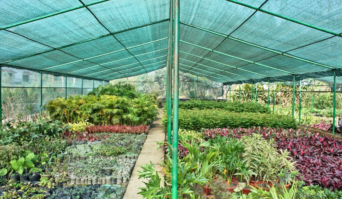 the benefits of plant nurseries webfreen.com